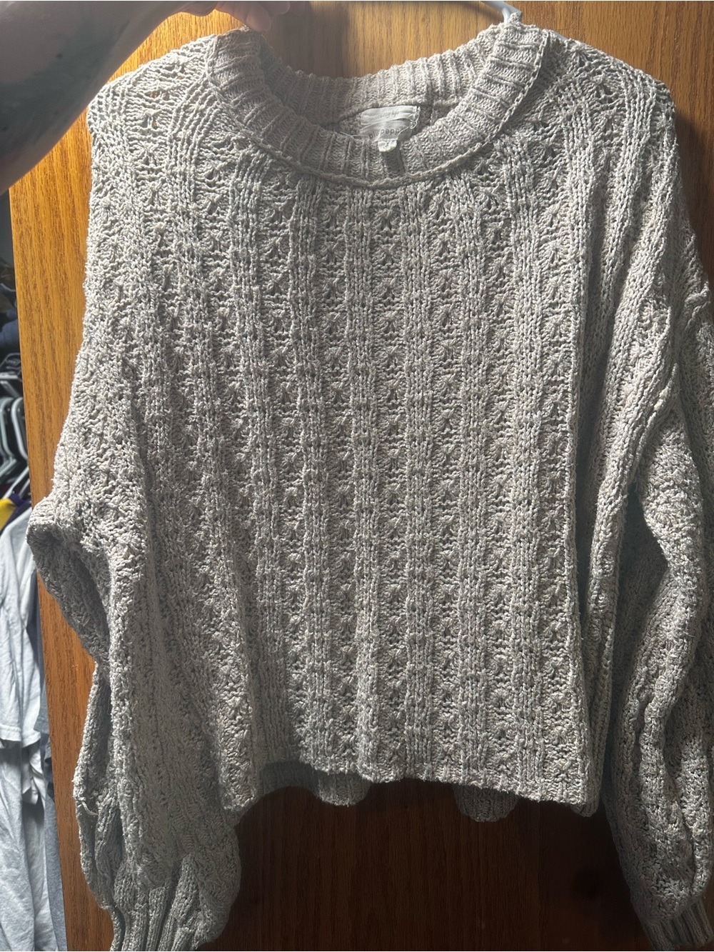 Blu Pepper Light Gray Cable Knit Crewneck Sweater